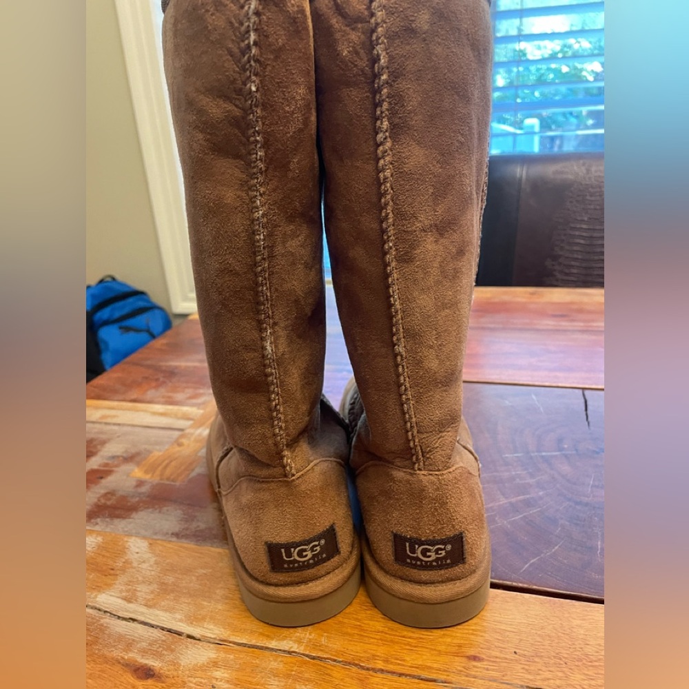 UGG Chestnut Suede Tall Boots
